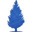 tree 55