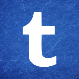 tumblr 2 icon