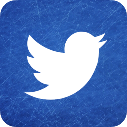 twitter 3 icon