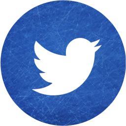twitter 4 icon