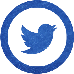 twitter 5 icon