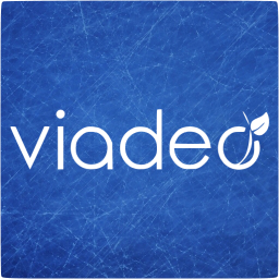 viadeo 4 icon