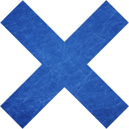 x mark icon