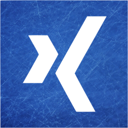 xing 2 icon