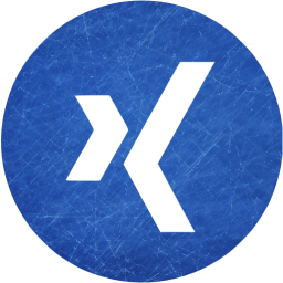 xing 4 icon