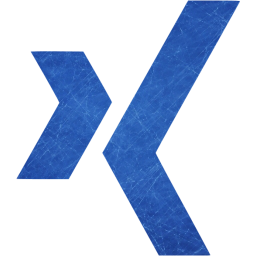 xing icon