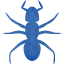 ant 3