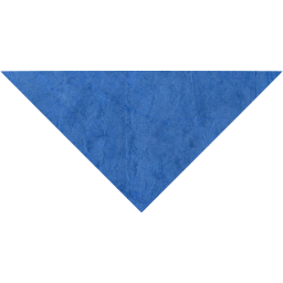 arrow 216 icon