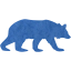 bear 5