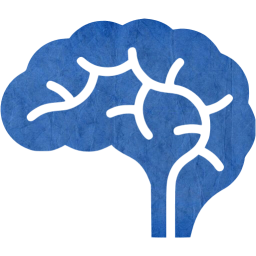 brain icon