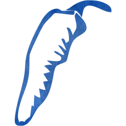 chili pepper 20 icon