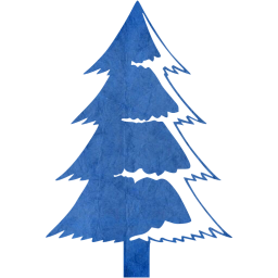 christmas 30 icon