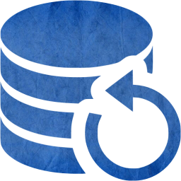 data backup icon