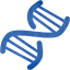 dna helix