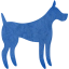 dog 31