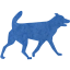 dog 32