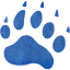 footprints bear