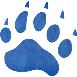 footprints bear icon