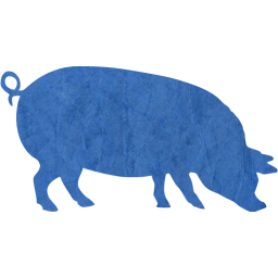 pig 4 icon