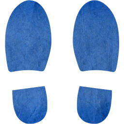 shoes footprints icon