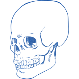 skull 38 icon