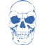 skull 41