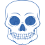 skull 55