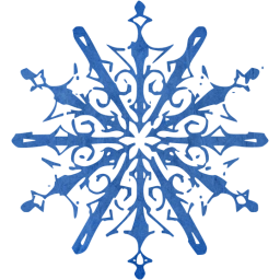 snowflake 10 icon