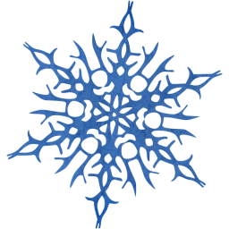 snowflake 14 icon