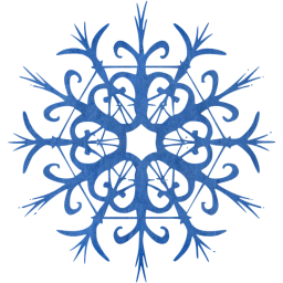 snowflake 28 icon