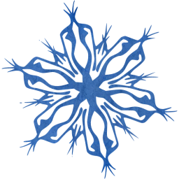 snowflake 4 icon