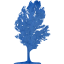 tree 17