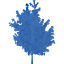 tree 25