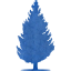 tree 55