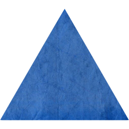 triangle icon