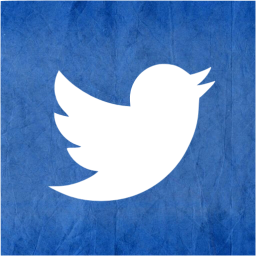 twitter 2 icon