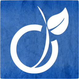 viadeo 5 icon