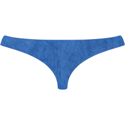 womens underwear icon