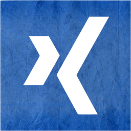 xing 2 icon