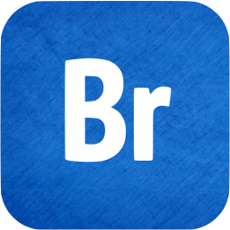 adobe br icon