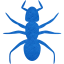 ant 3
