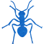 ant