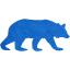 bear 5