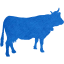 cow 2