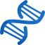 dna helix