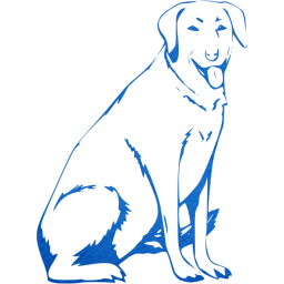 dog 13 icon