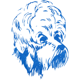 dog 21 icon