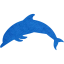 dolphin