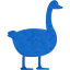 duck 2