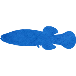 fish 5 icon